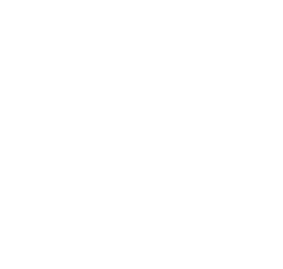 SSIFF 2024